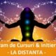 Initieri Reiki & Curs - Program de Initieri Online 19 curs reiki 3