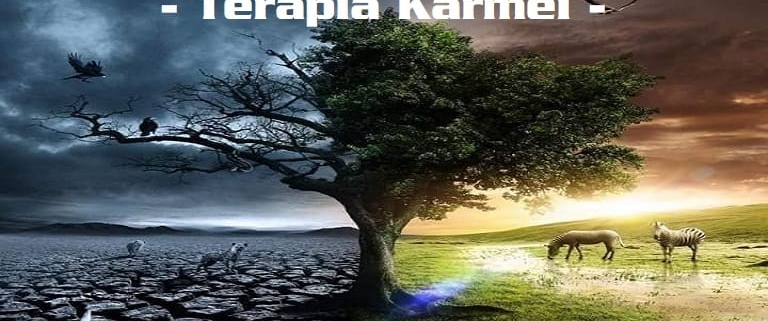 Karma si Reincarnarea – Terapia Karmei