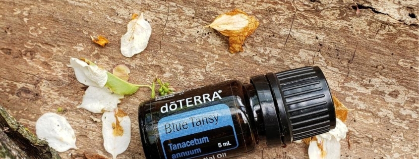 Buy doTERRA Blue Tansy Essential Oil