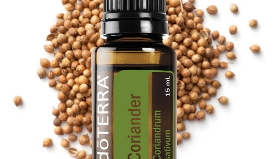 Coriander / Coriandru (sămânță)- Ulei Esențial Pur - grad terapeutic 1 coriandru coriander doterra