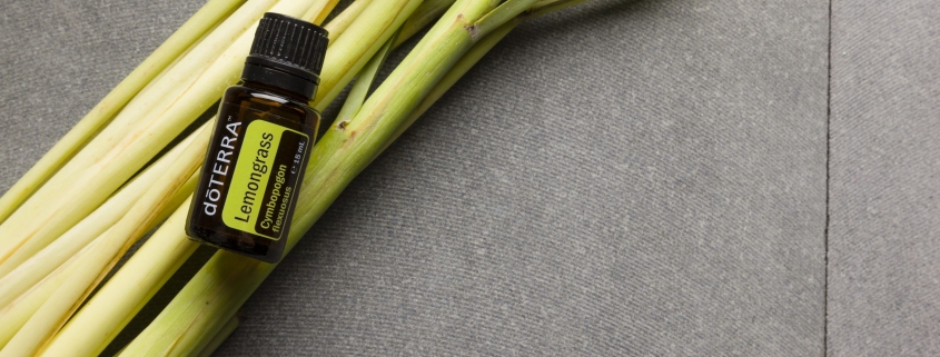 Lămâiţă / Lemongrass - Ulei Esențial Pur - grad terapeutic 1 EU Lemongrass 15 ml scaled 1