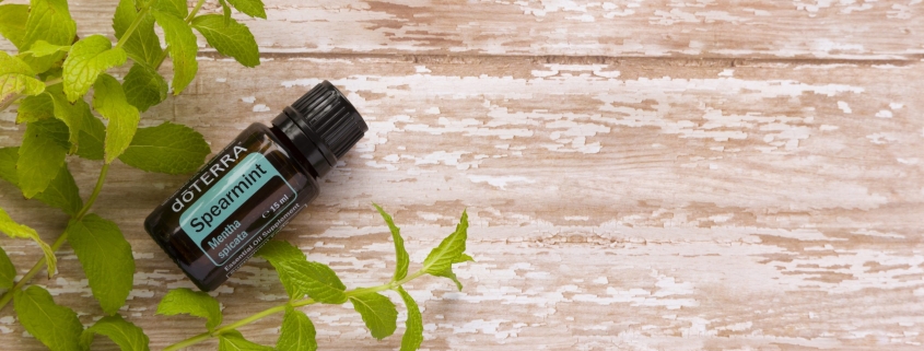 Mentă Creață / Spearmint - Ulei Esențial Pur - grad terapeutic 1 EU Spearmint 15 ml scaled 1