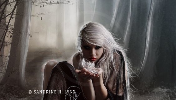 Evolutie Spirituala - Sa va intrebati din cand in cand...despre nivelul vostru actual de evolutie spirituala 1 1482779 658597307514666 1966888358 n