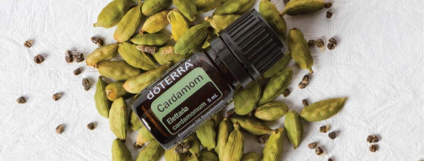 Cardamom - Ulei Esențial Pur - grad terapeutic 1 Cardamom