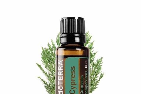 Chiparos / Cypress - Ulei Esențial Pur - grad terapeutic 1 Chiparos