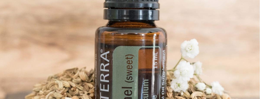 Fenicul / Fennel - Ulei Esențial Pur - grad terapeutic 1 fennel fenicul doterra