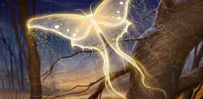 402354 343125142374718 100000317042264 1172201 19271590 n 1