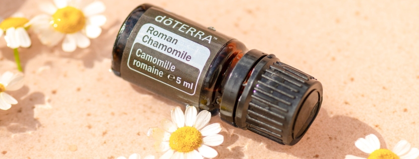 EU Roman Chamomile 5 ml 5 scaled 1