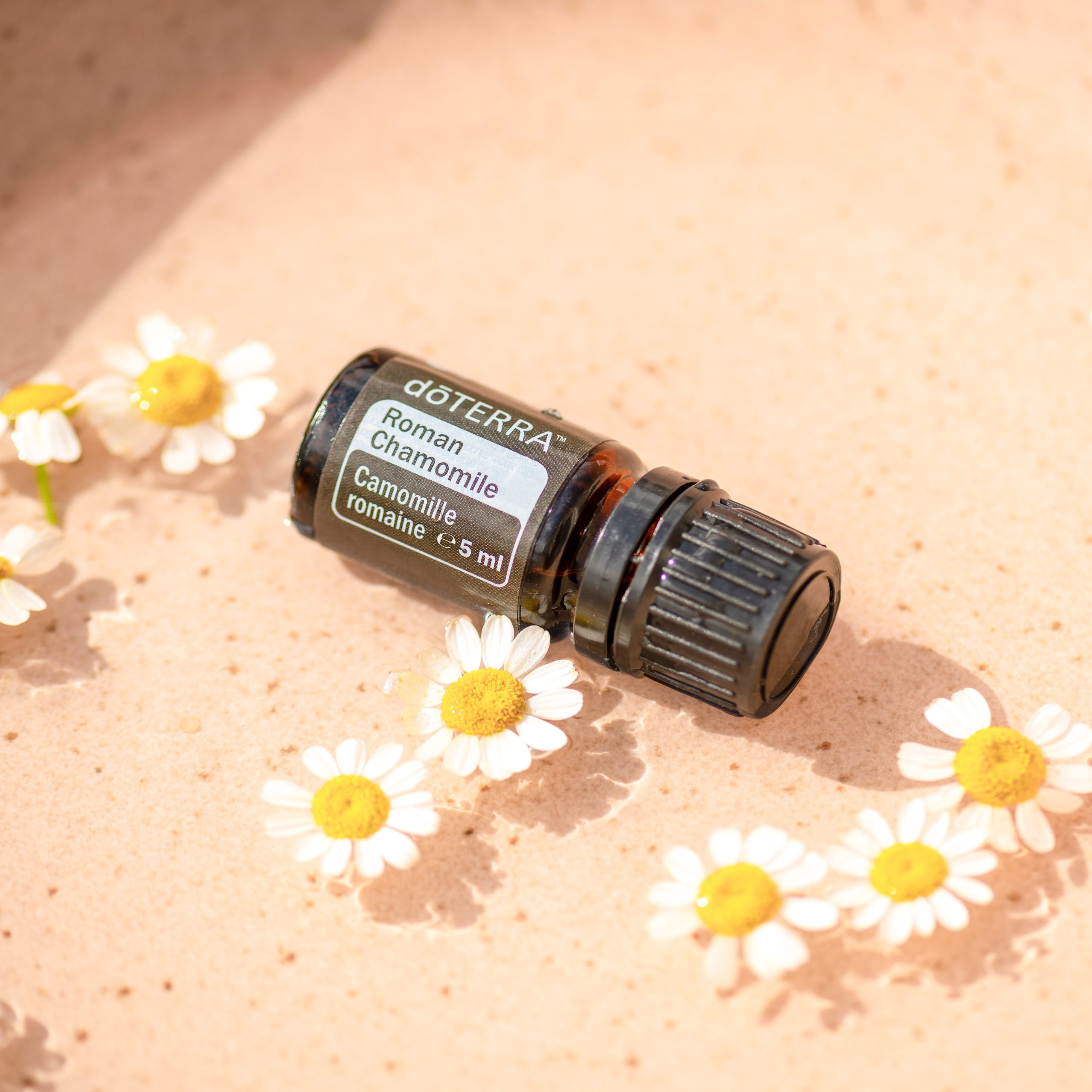 Mușețel Roman - Ulei Esențial Pur - grad terapeutic 1 EU Roman Chamomile 5 ml 5 scaled 1