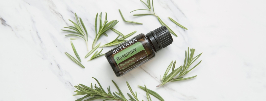 EU Rosemary 15 ml scaled 1