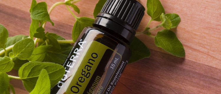 Oregano - Ulei Esențial Pur - grad terapeutic 1 doTERRA Oregano 15ml 1