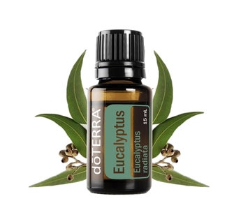 Eucalipt - Ulei Esențial Pur - grad terapeutic 1 eucalipt doterra