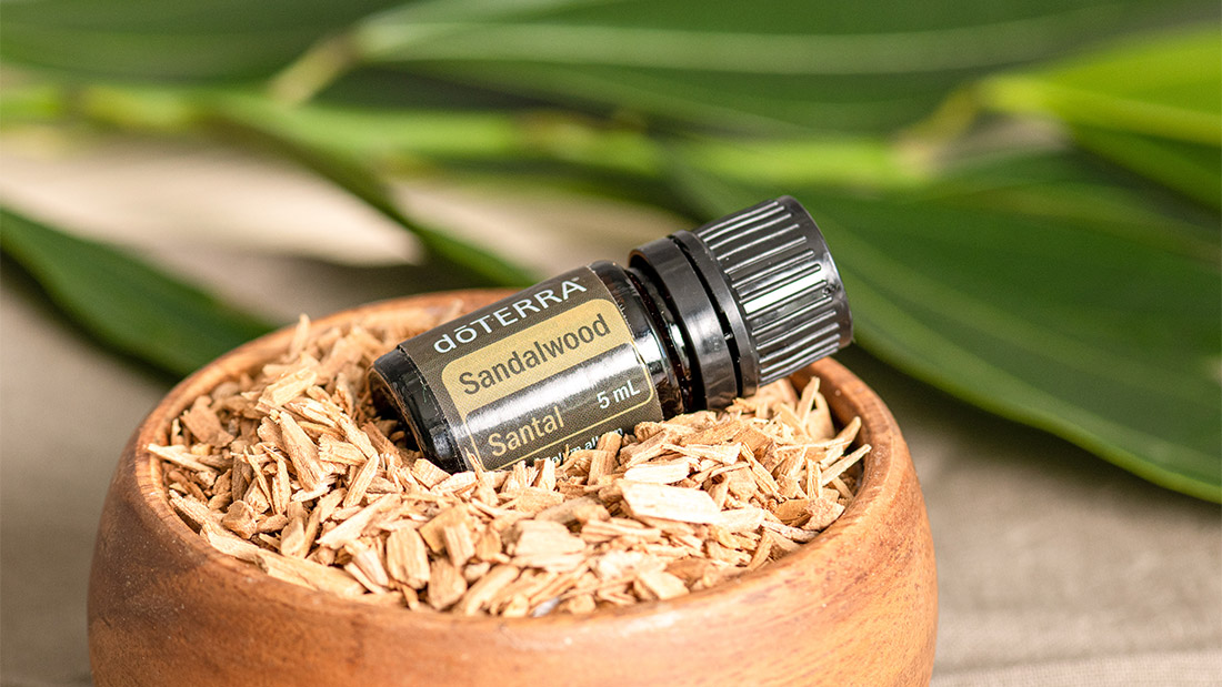Santal / Sandalwood - Ulei Esențial Pur - grad terapeutic 1 sandalwood santal doterra