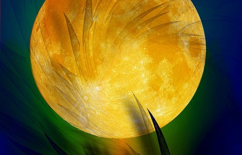 228122 516130001748472 623154476 n 1