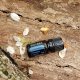 Buy doTERRA Blue Tansy Essential Oil