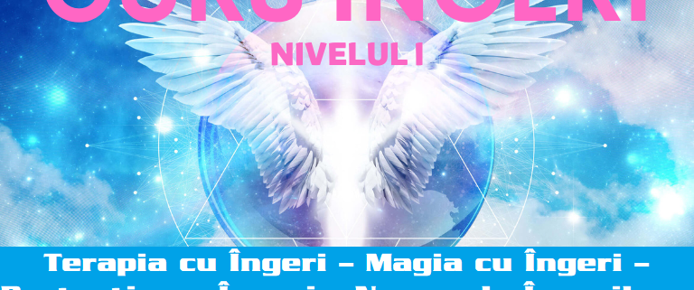 CURS INGERI NIVELUL I 2