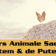 Curs & Initiere Animale Sacre / Totem & Animale de Putere 26 Curs si Initiere Animale Sacre Totem si Animale de Putere 2