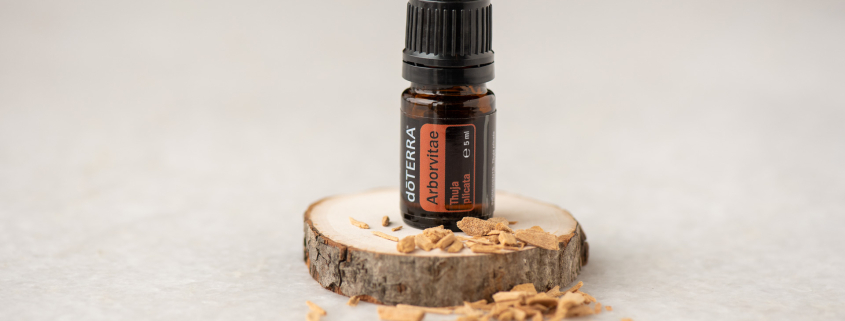 EU Arborvitae 5 ml 1