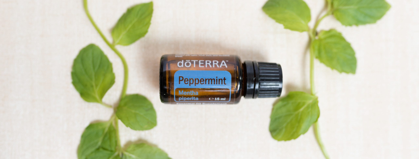 Mentă / Peppermint - Ulei Esențial Pur - grad terapeutic 1 EU Peppermint 15 ml 2 scaled 1
