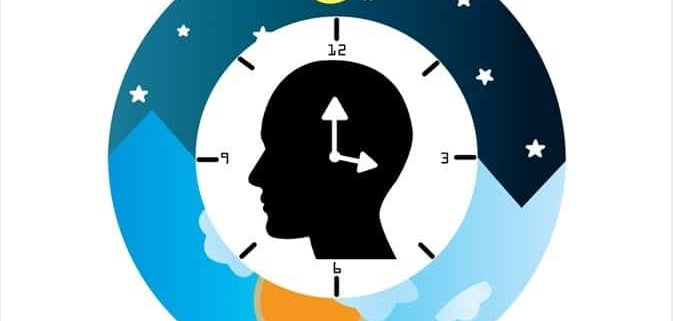 ciclul cicardian 2 1