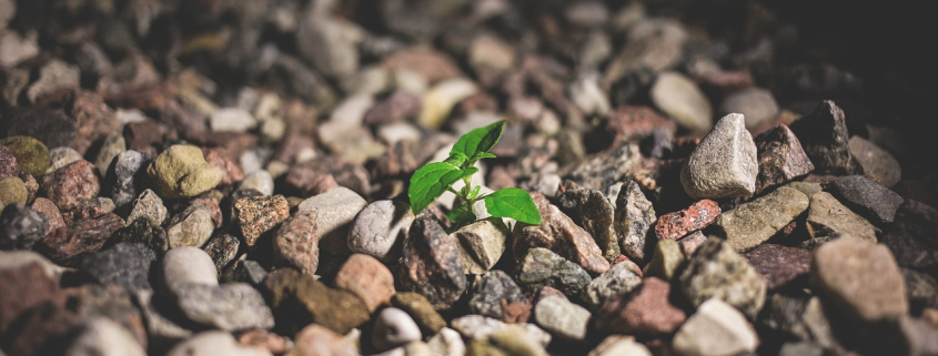 Dezvoltare Personala - Riscuri 15 city gaef2ed19b 1280