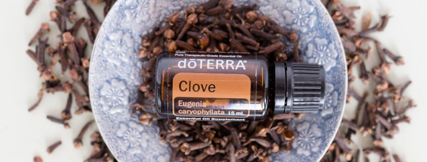 Cuisoare / Clove - Ulei Esențial Pur - grad terapeutic 1 clove cuisoare doterra