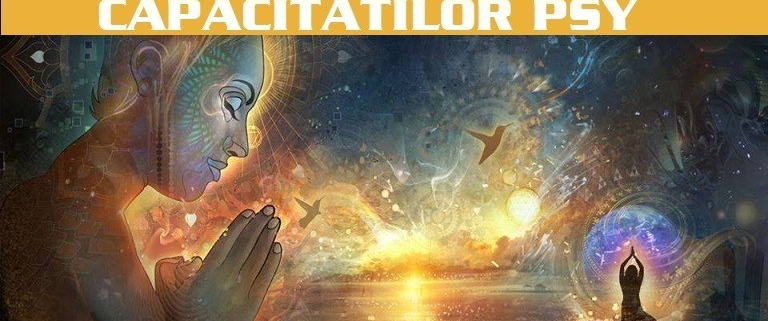 curs dezvoltarea capacitatilor psy2 8