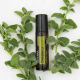 doterra oregano touch roll on