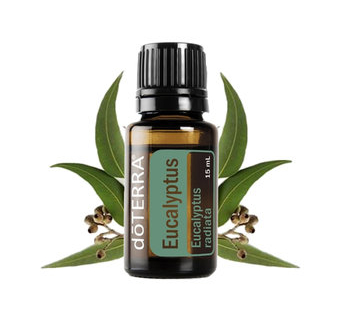 eucalipt doterra 1
