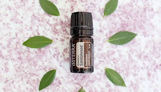 Santal Hawaiian / Hawaiian Sandalwood - Ulei Esențial Pur - grad terapeutic 1 hawaiian sandalwood santal hawaiian doterra