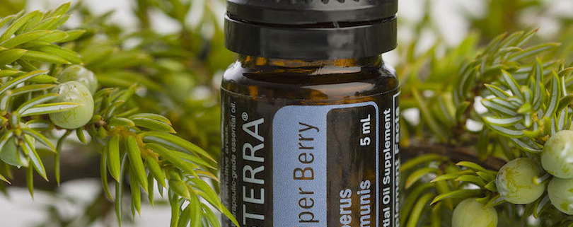 Ienupăr - Ulei Esențial Pur - grad terapeutic 1 ienupar