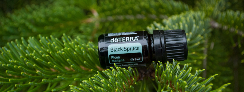 Molid Negru - Ulei Esențial Pur - grad terapeutic 1 molid negru doterra