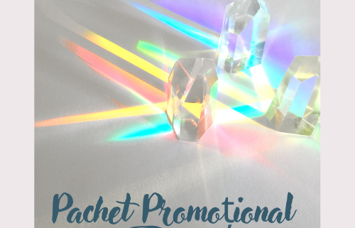 Pachet Promotional Initieri la Distanta