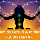 Initieri Reiki & Curs - Program de Initieri Online - ACCES 4 LECȚII / LUNĂ 20 initieri reiki curs program de initieri online acces 4 lectii luna