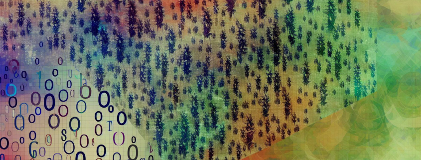 mesajele ascunse ale copacilor dezvaluiri din natura