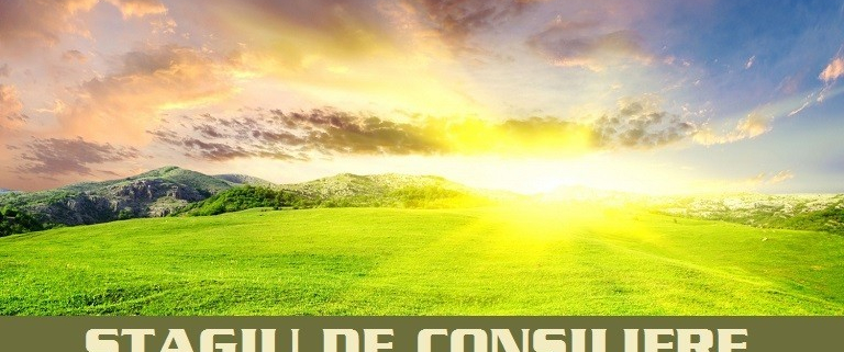 STAGIU DE CONSILIERE PERSONALIZATĂ – SERVICII PREMIUM! - ACCES 4 SEDINTE / LUNĂ 1 stagiu de consiliere personalizata servicii premium acces 4 sedinte luna 1