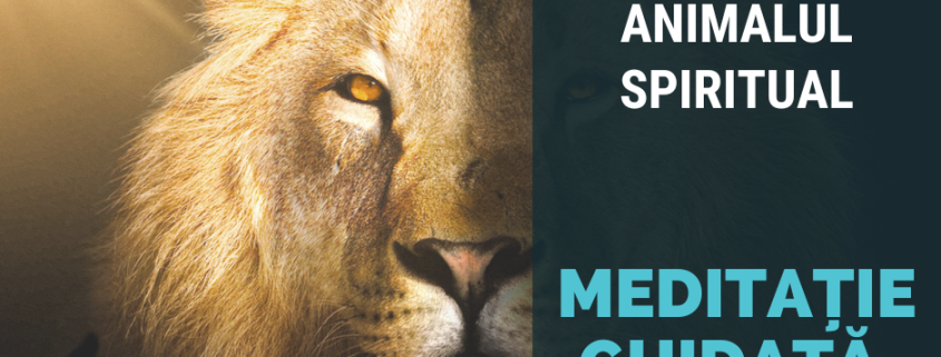Meditație Ghidata Vocal - Găsește-ți Animalul Spiritual 1 meditatie ghidata vocal gaseste ti animalul spiritual