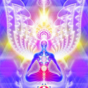 406201 10150987843138303 1528232097 n