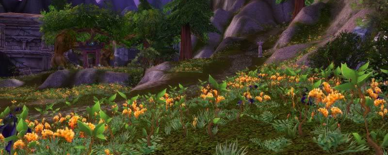 Meditatie de conectare la Elementul Pamant Initierea Pamantului