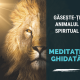 Meditație Ghidata Vocal - Găsește-ți Animalul Spiritual 20 meditatie ghidata vocal gaseste ti animalul spiritual