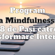 Program "Arta Mindfulness – 28 de Pași către Transformare Interioară" - Abonament 2 Lecții / Lună 19 Arta mindfulness ului