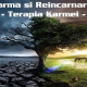 curs karma si reincarnarea terapia karmei anul i acces 4 lectii luna 3