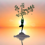 optimist sau pesimist