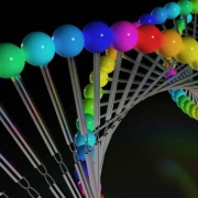 ADN UMAN ASCENSIUNE EVOLUTIE SPIRITUALA