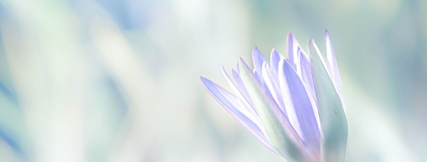 descopera scopul vietii tale in doar 3 pasi