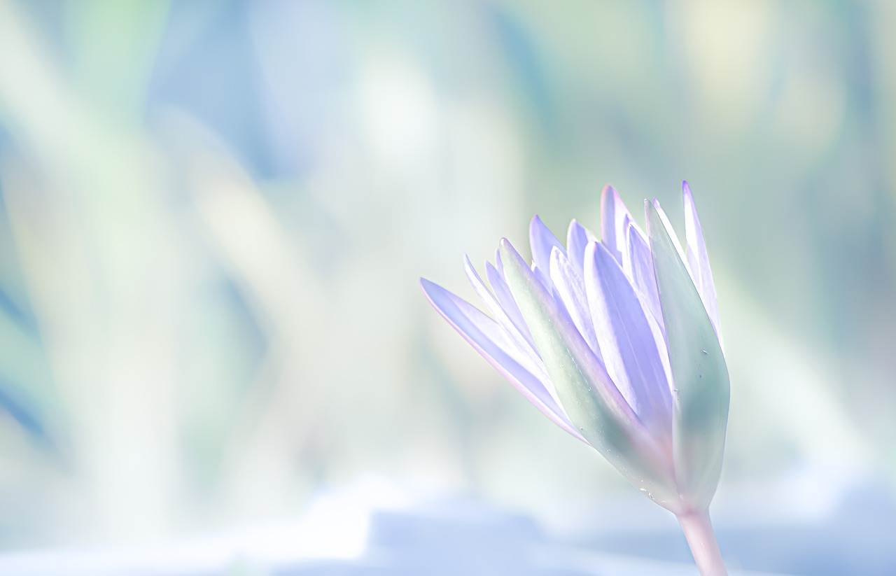 descopera scopul vietii tale in doar 3 pasi