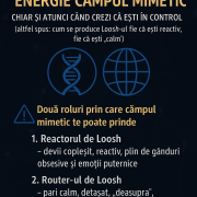 file 00000000ce6461fd93d6cfd801b5a5a2