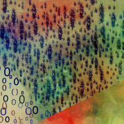 mesajele ascunse ale copacilor dezvaluiri din natura