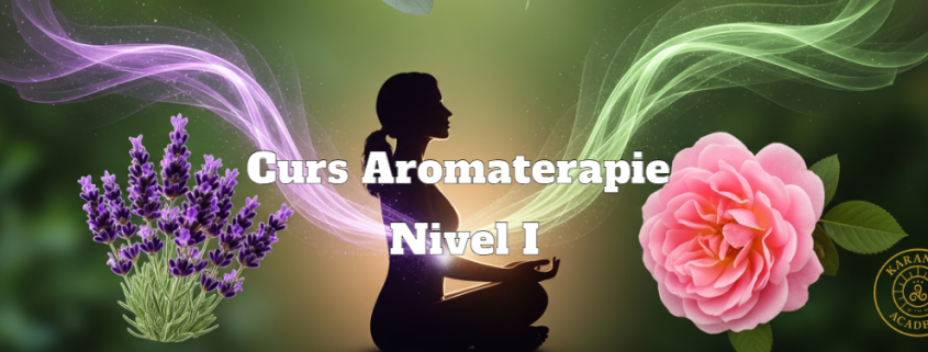 Curs Aromaterapie Nivel I - Abonament 2 Lecții / Lună 11 Curs Aromaterapie I