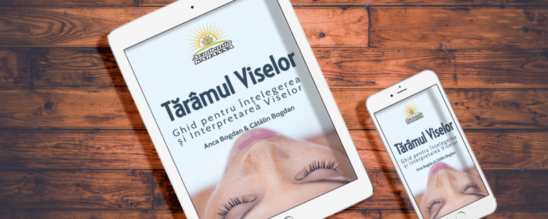 Ebook Tărâmul Viselor 1 e book taramul viselor 4